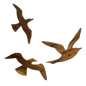 Set 3 estructuras aves